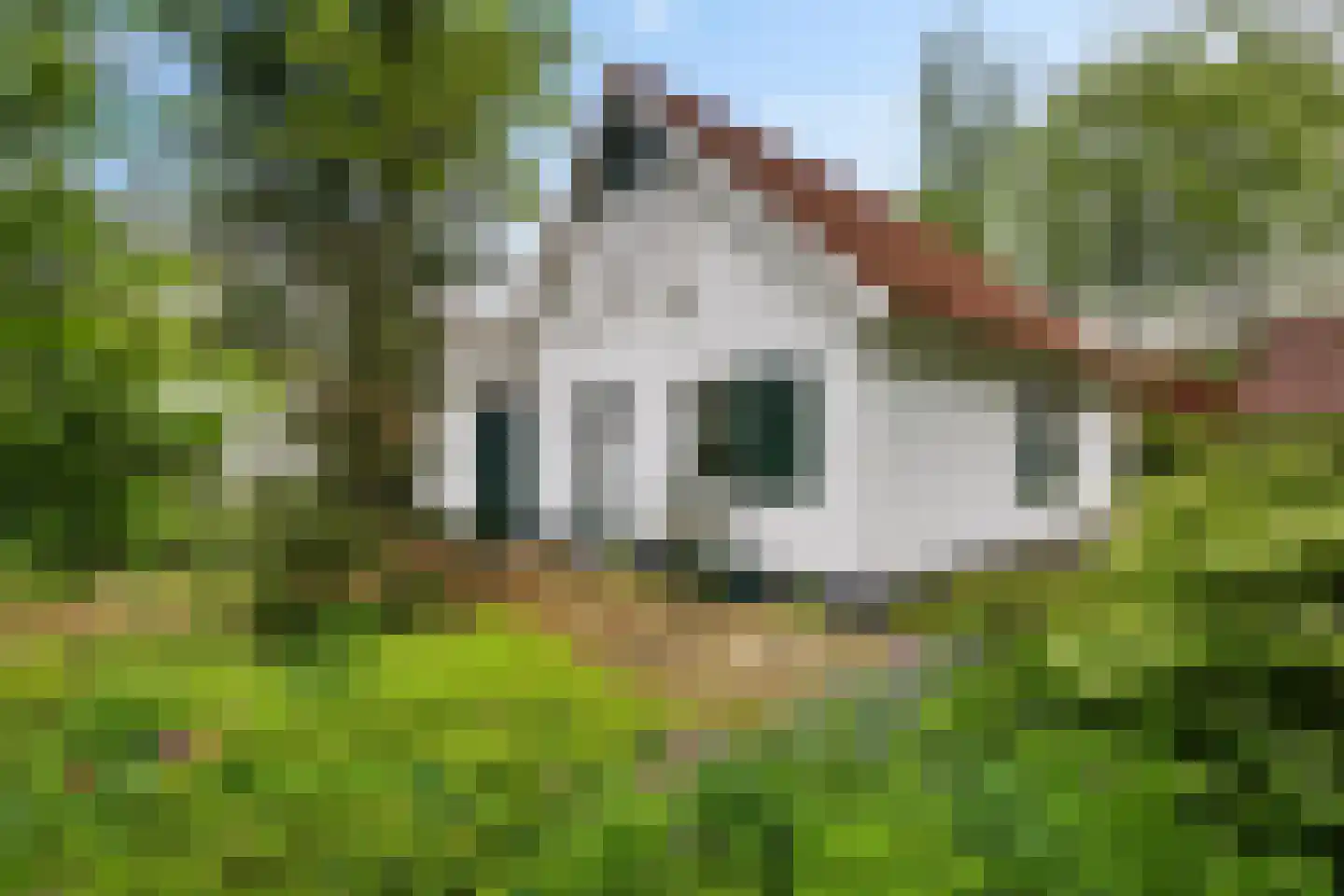 Valtherweg 36 304 Exloo thumbnail 4