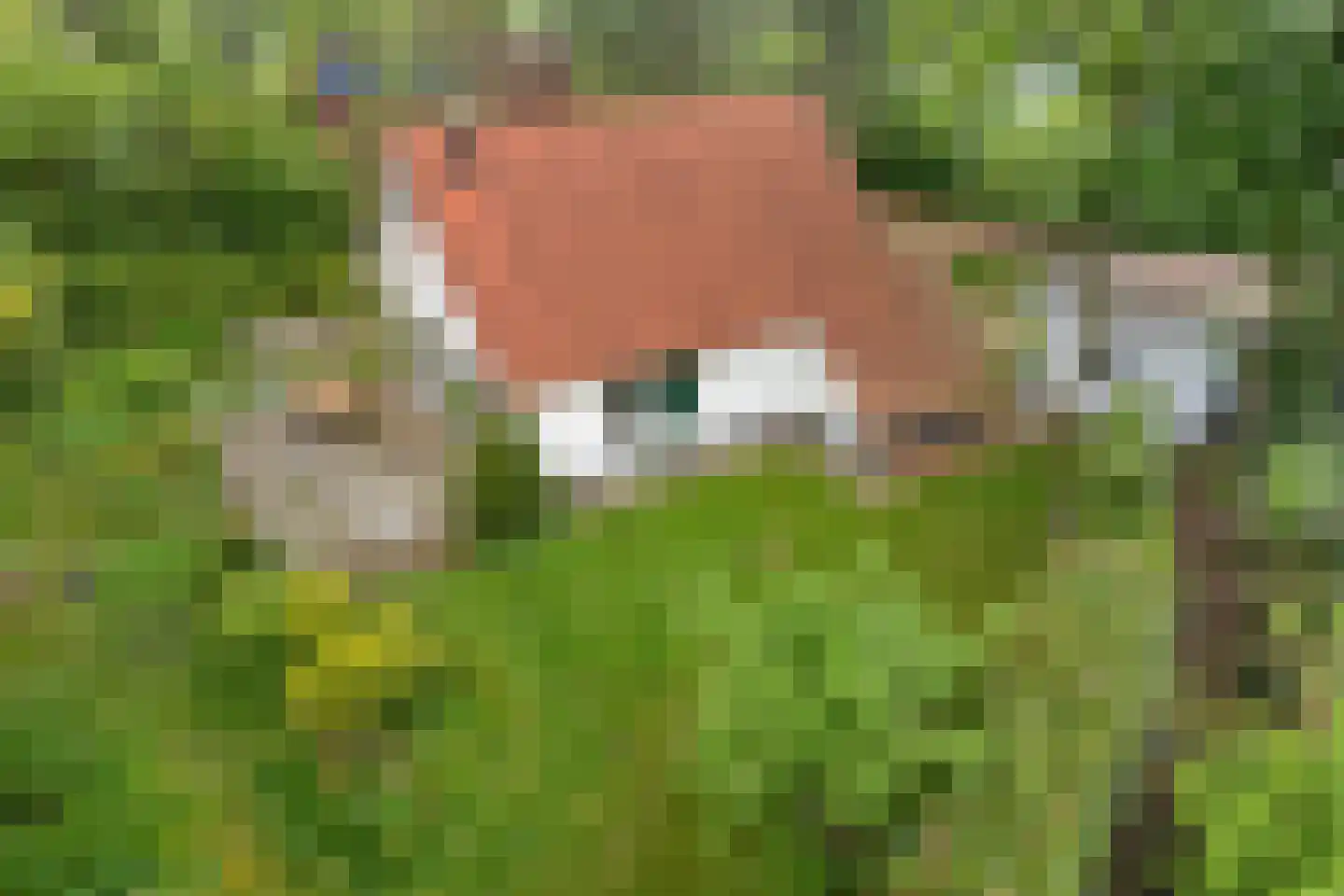 Valtherweg 36 304 Exloo thumbnail 40