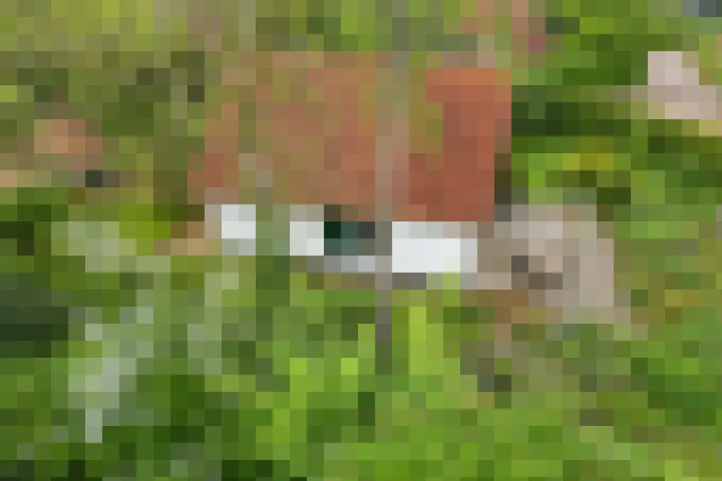 Valtherweg 36 304 Exloo thumbnail 42