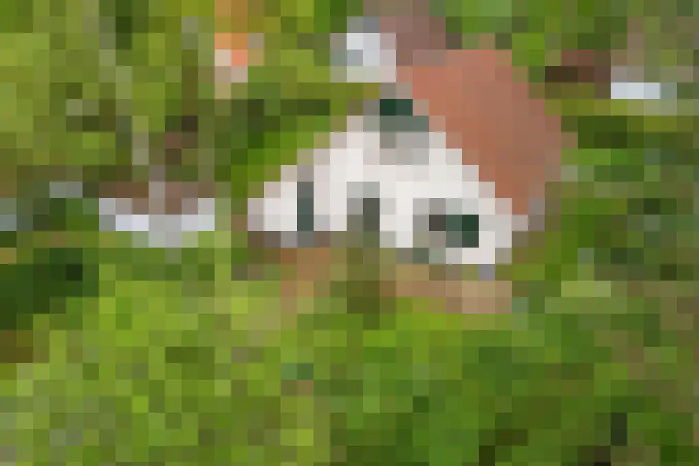 Valtherweg 36 304 Exloo thumbnail 43
