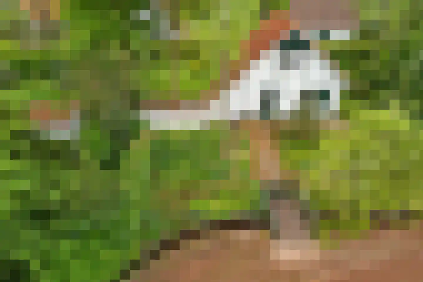 Valtherweg 36 304 Exloo thumbnail 44