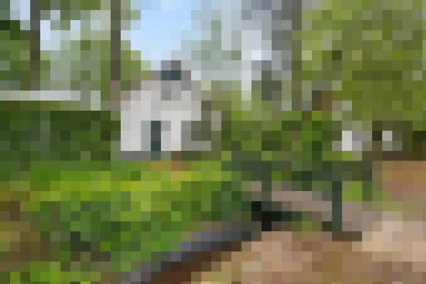 Valtherweg 36 304 Exloo thumbnail 47