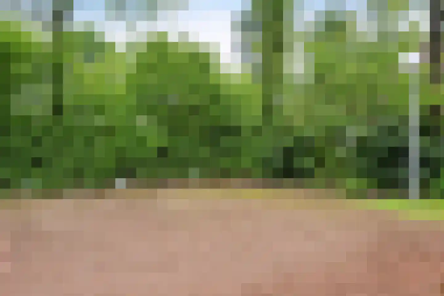 Valtherweg 36 304 Exloo thumbnail 48