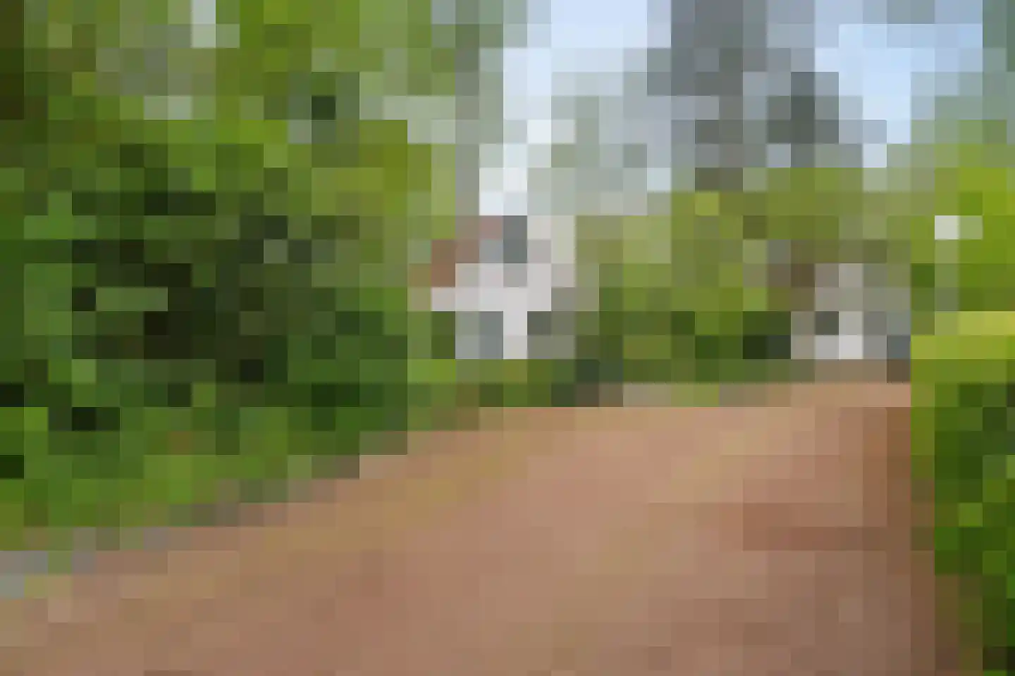 Valtherweg 36 304 Exloo thumbnail 6