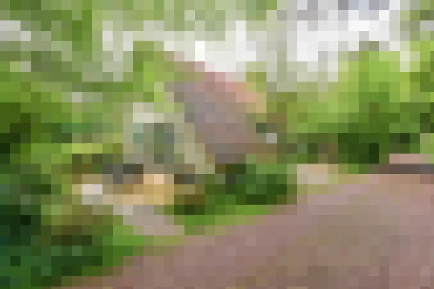 Valtherweg 36 313 Exloo thumbnail 10
