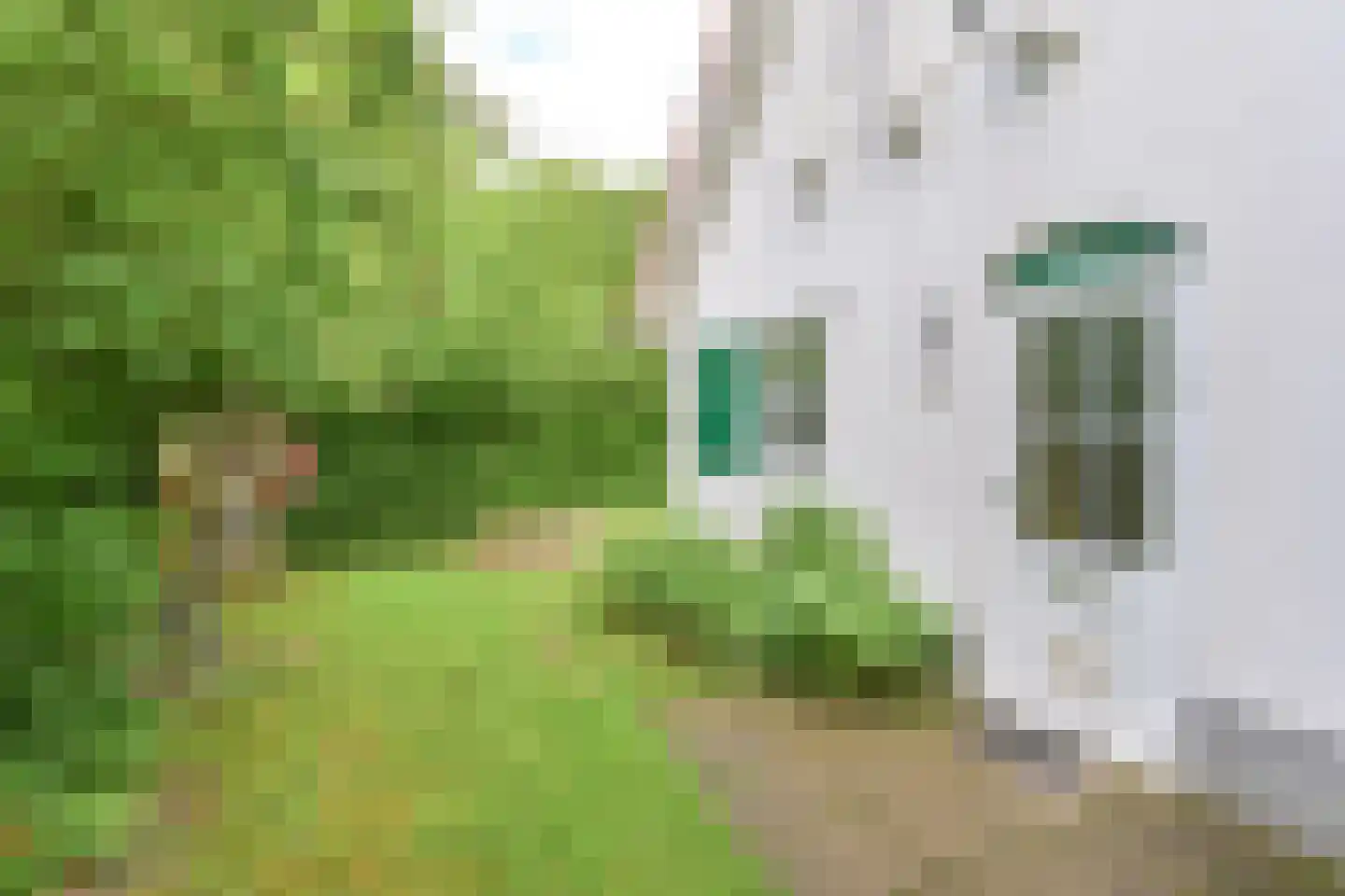 Valtherweg 36 313 Exloo thumbnail 13