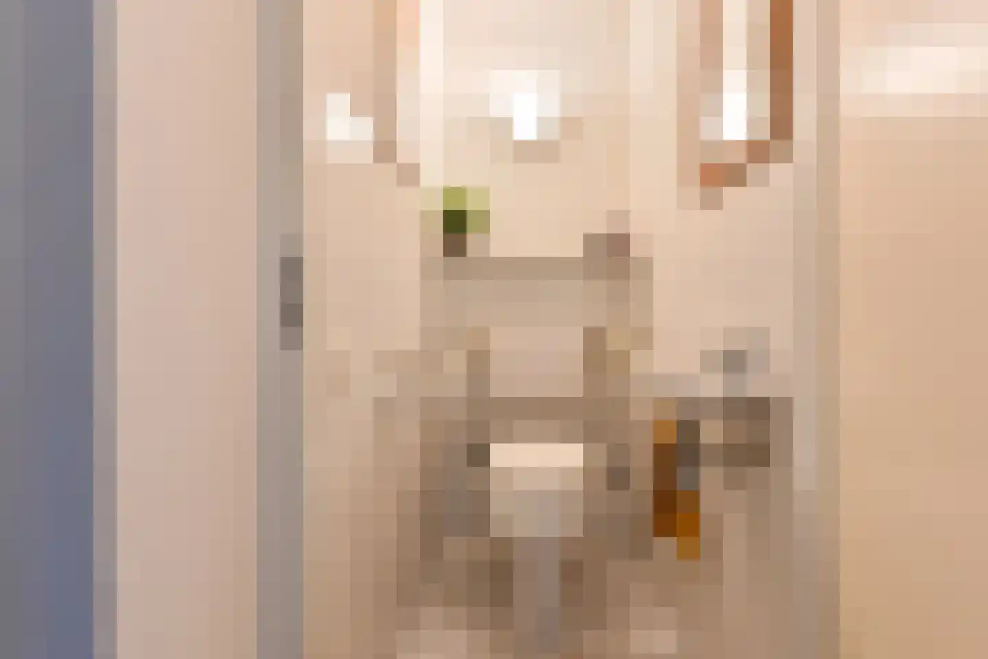 Valtherweg 36 313 Exloo thumbnail 15