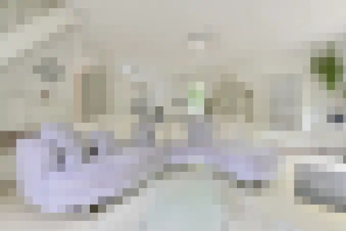 Valtherweg 36 313 Exloo thumbnail 26