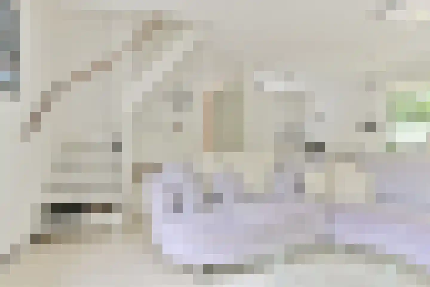 Valtherweg 36 313 Exloo thumbnail 32