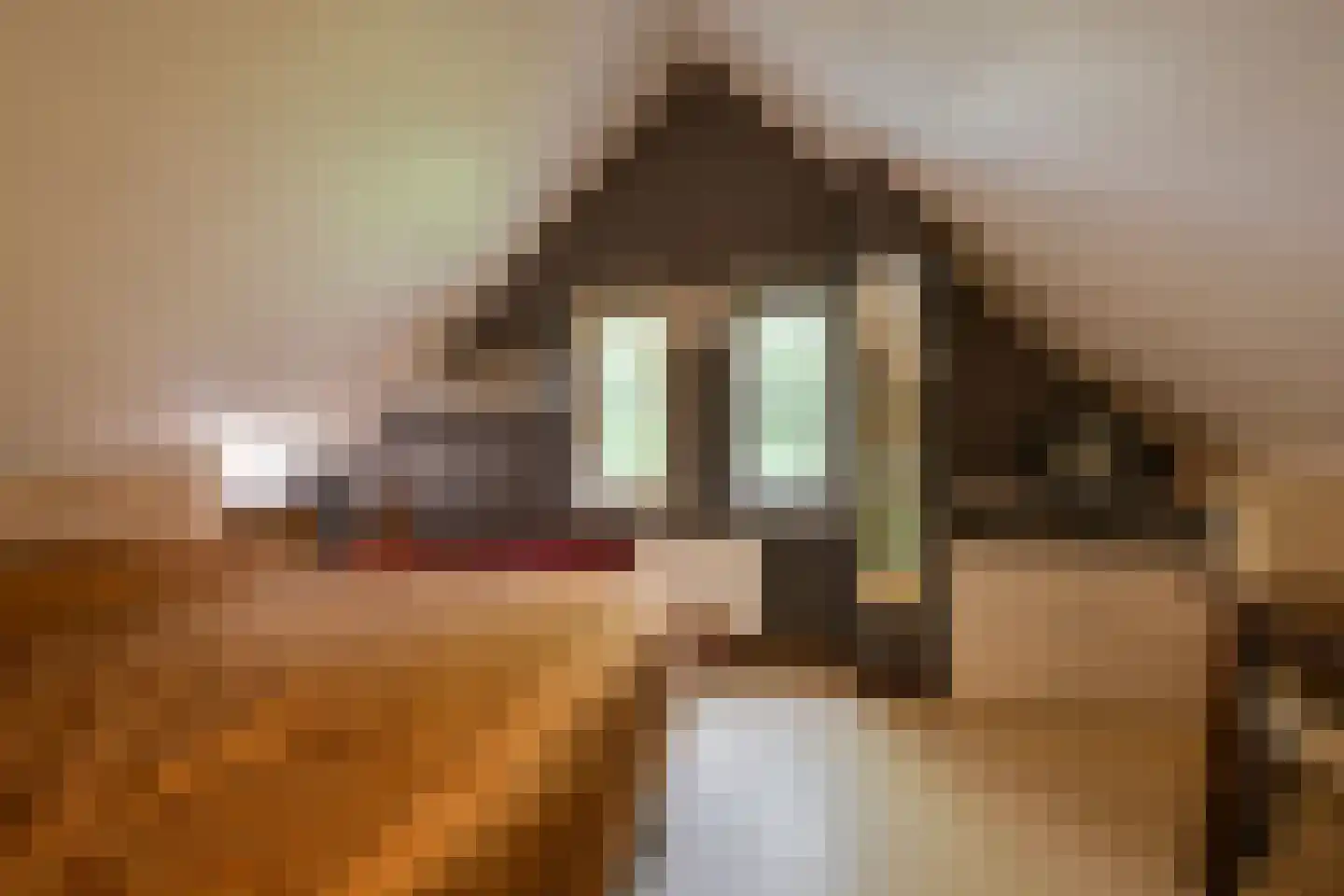 Valtherweg 36 313 Exloo thumbnail 34