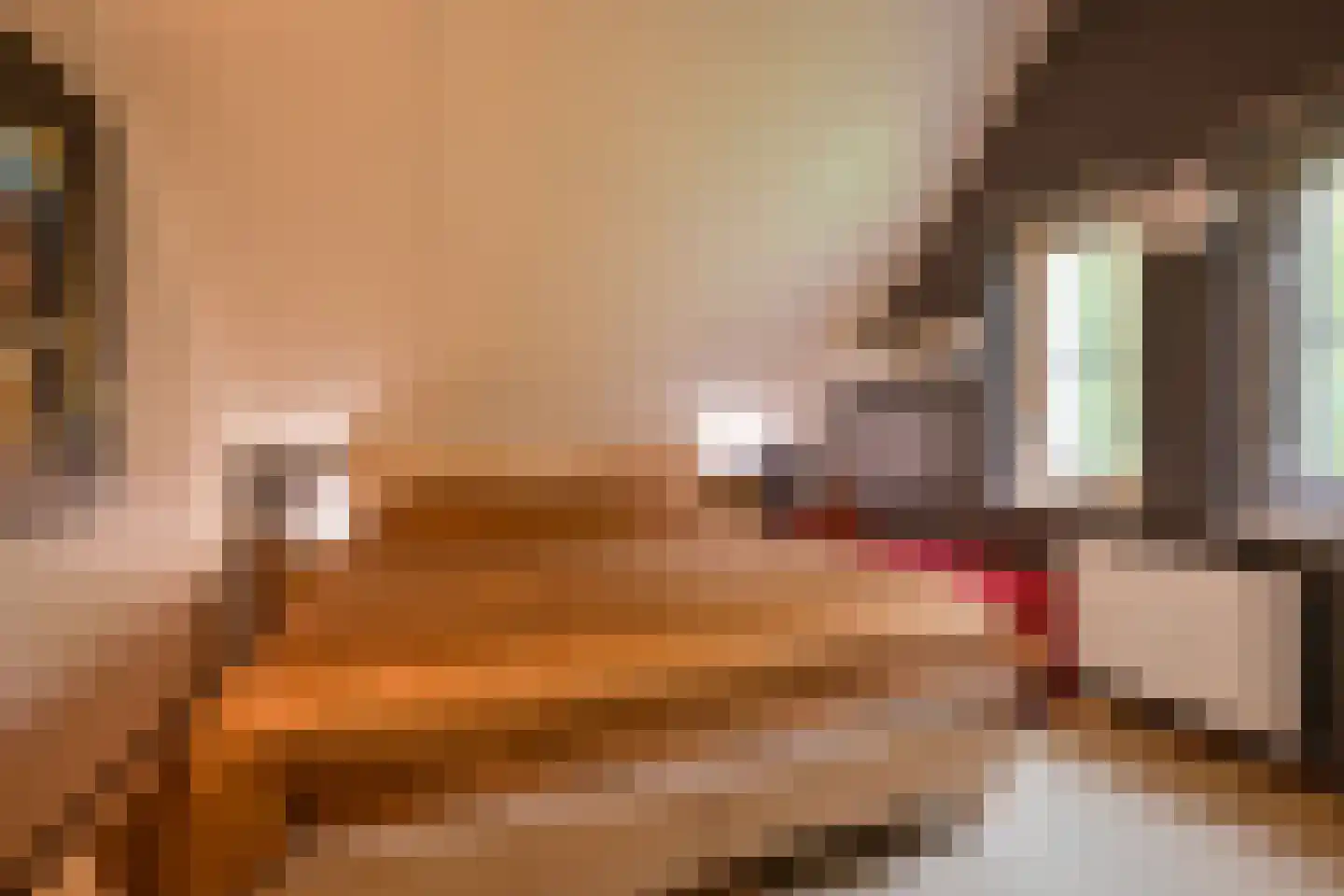 Valtherweg 36 313 Exloo thumbnail 35