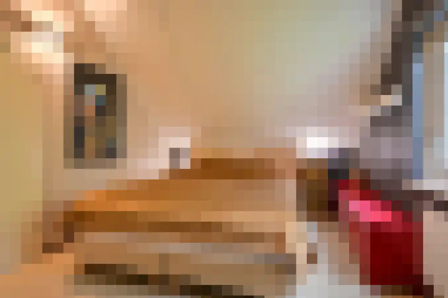 Valtherweg 36 313 Exloo thumbnail 36