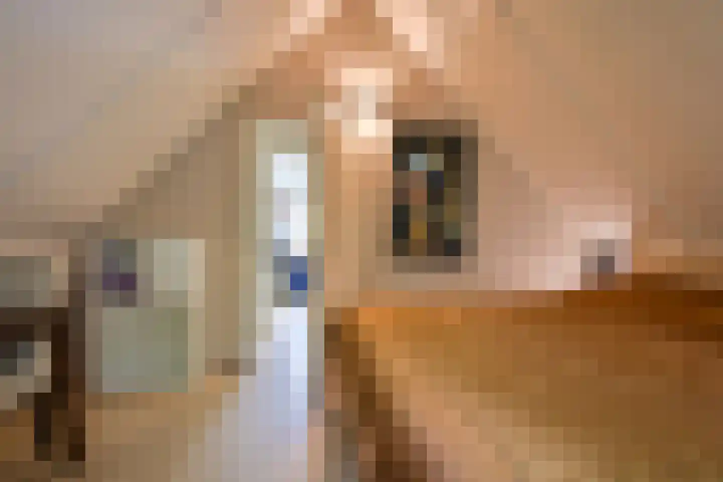 Valtherweg 36 313 Exloo thumbnail 37