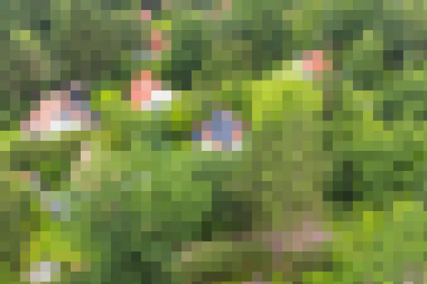 Valtherweg 36 313 Exloo thumbnail 4