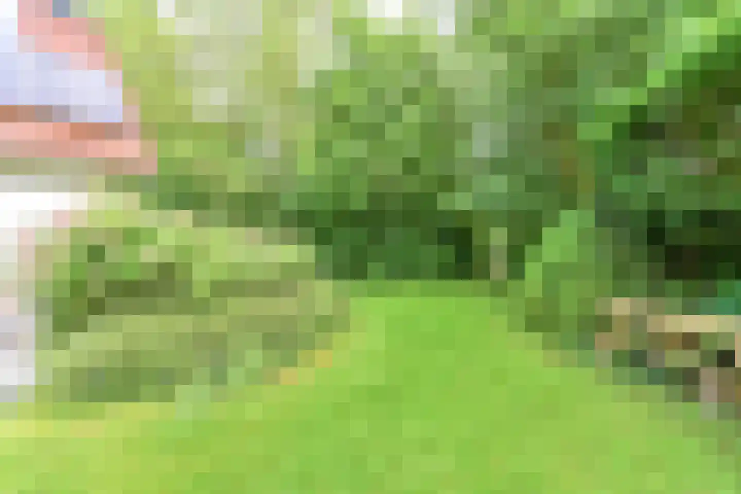 Valtherweg 36 313 Exloo thumbnail 46