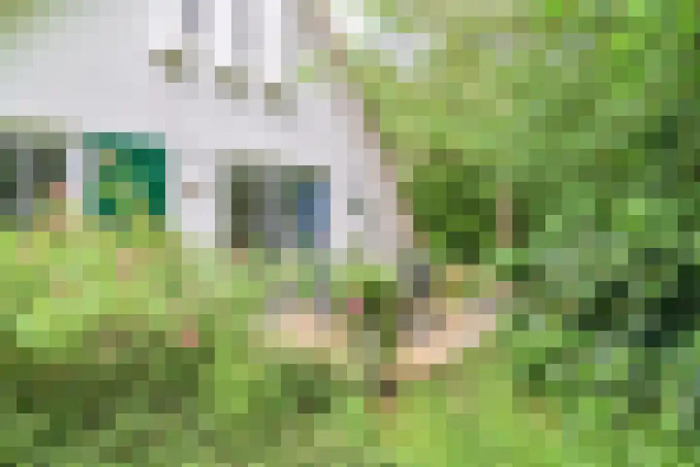 Valtherweg 36 313 Exloo thumbnail 48