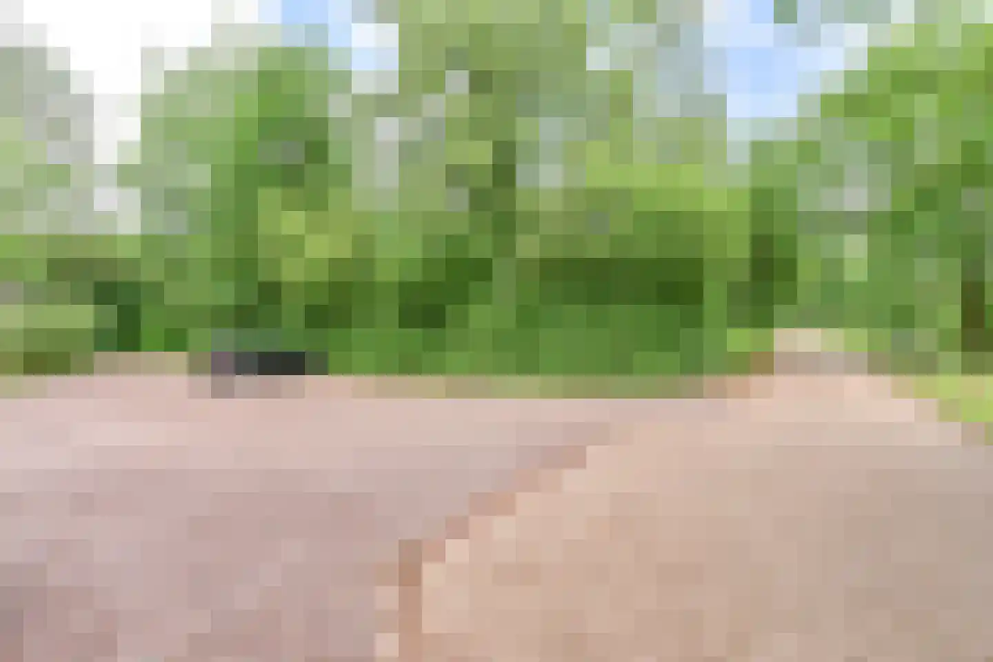 Valtherweg 36 313 Exloo thumbnail 5
