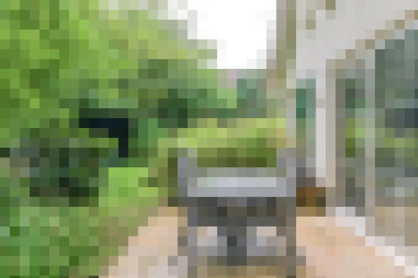 Valtherweg 36 313 Exloo thumbnail 50