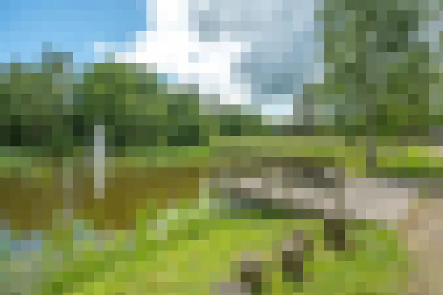 Valtherweg 36 313 Exloo thumbnail 53