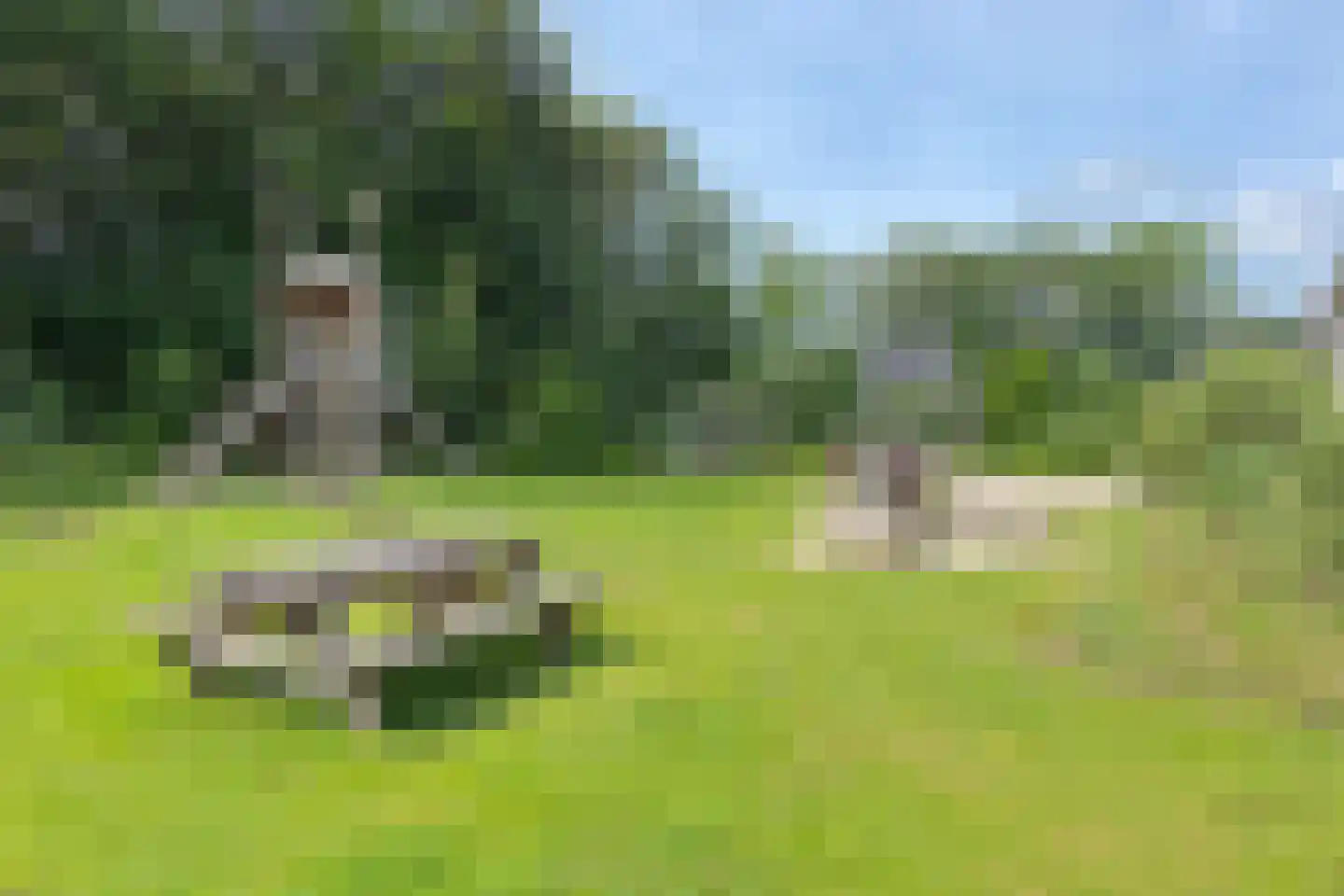 Valtherweg 36 313 Exloo thumbnail 55