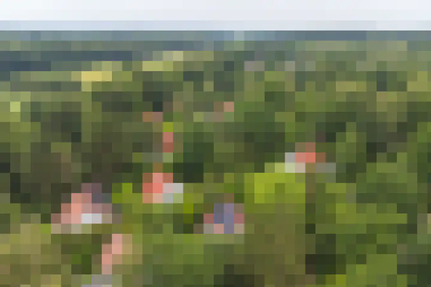 Valtherweg 36 313 Exloo thumbnail 64