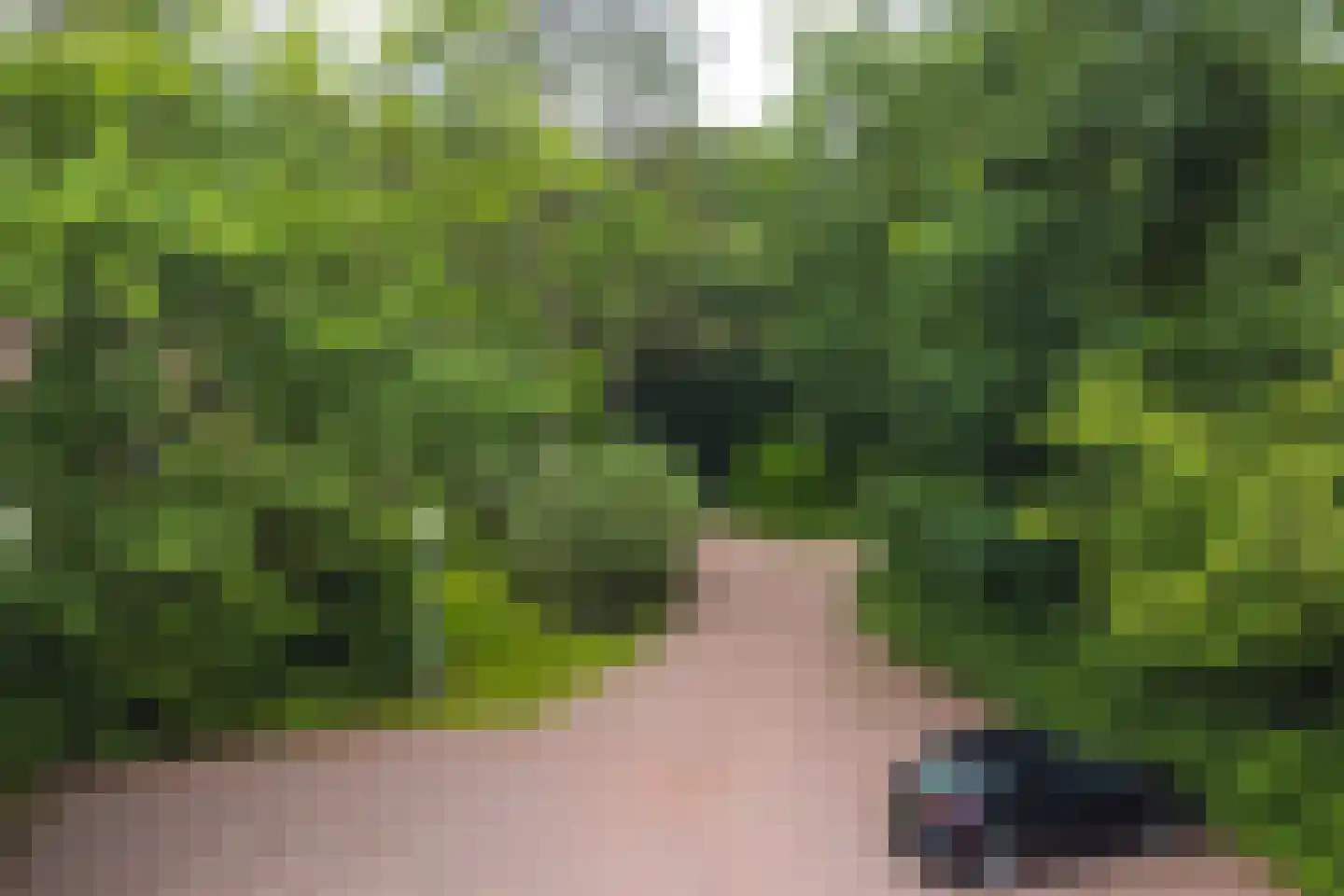 Valtherweg 36 313 Exloo thumbnail 7