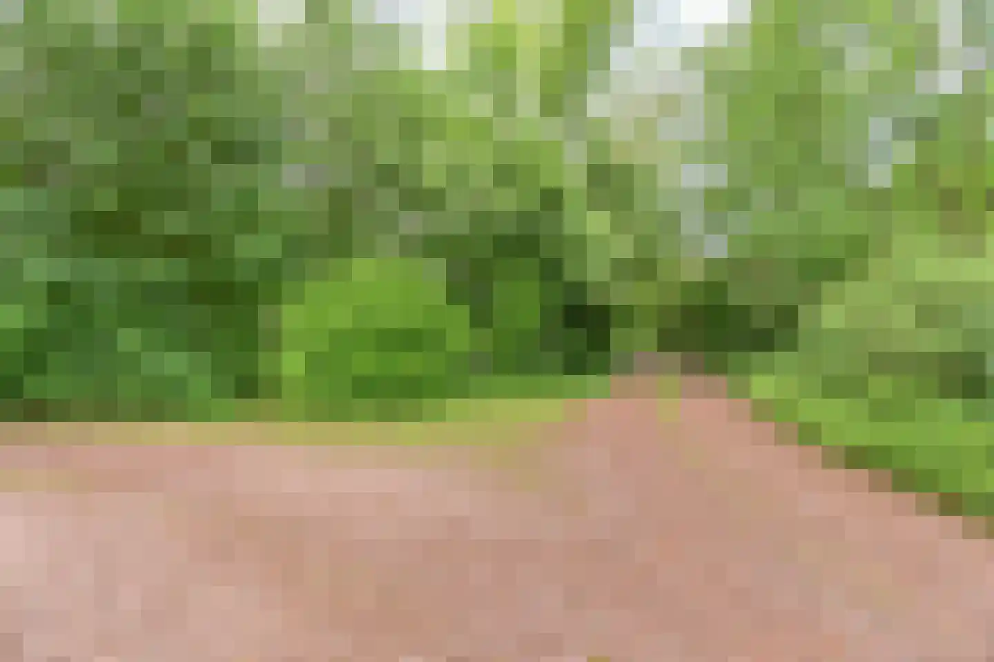 Valtherweg 36 313 Exloo thumbnail 8