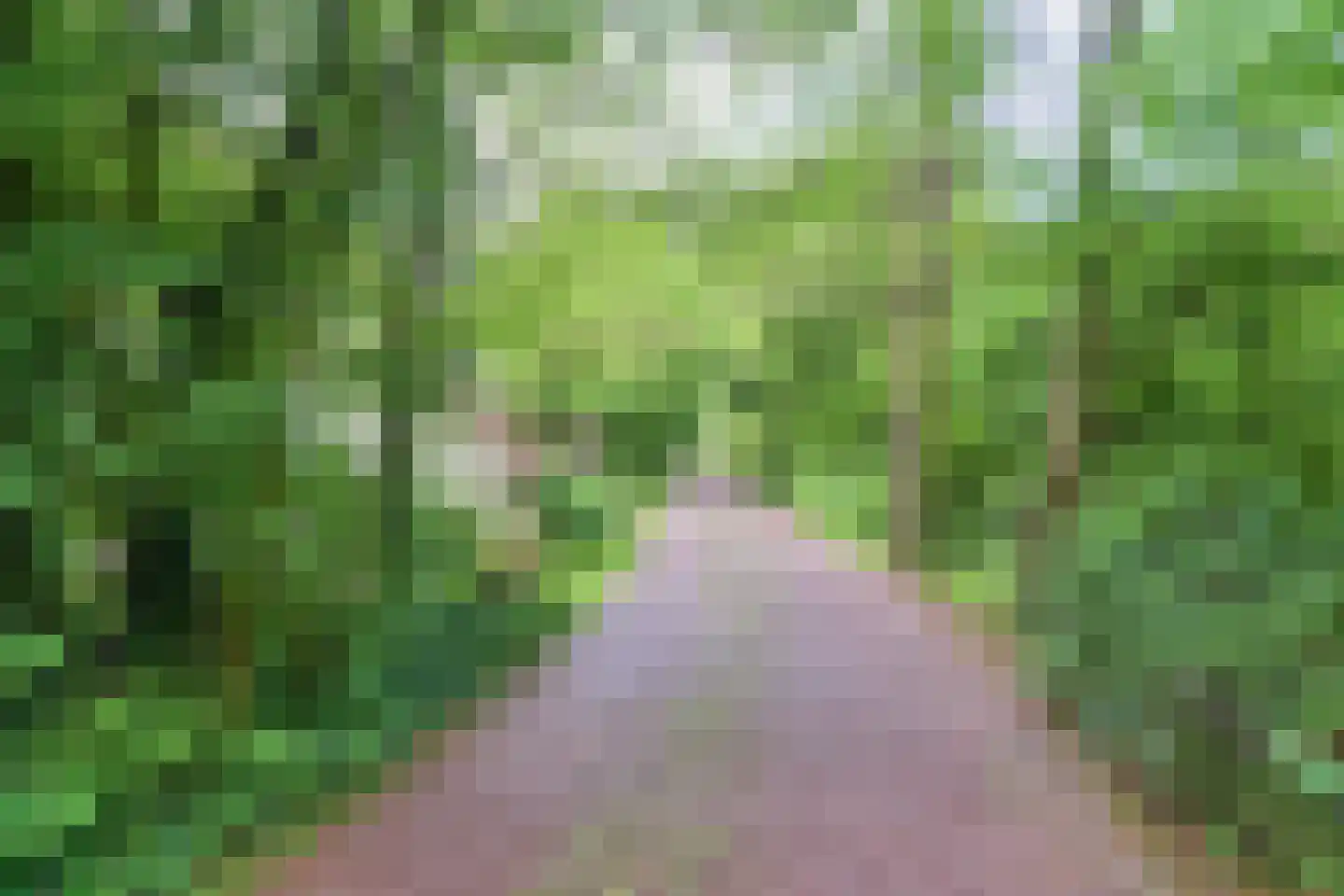 Valtherweg 36 313 Exloo thumbnail 9