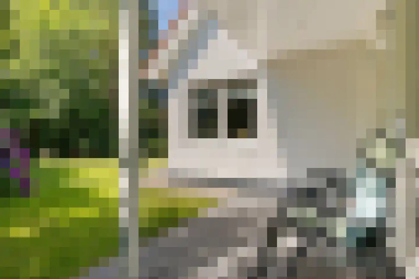 Valtherweg 36 316 Exloo thumbnail 34