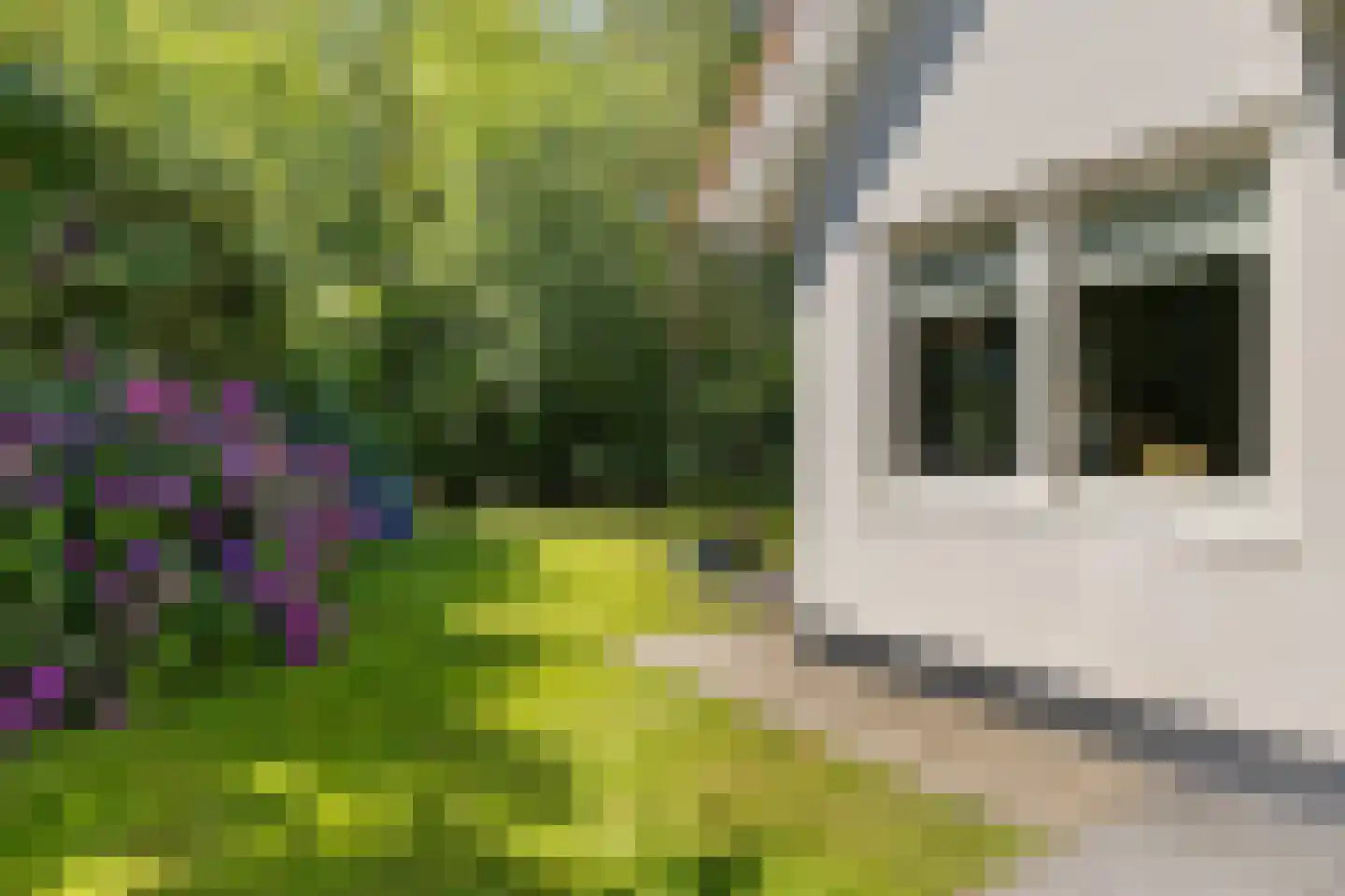 Valtherweg 36 316 Exloo thumbnail 35