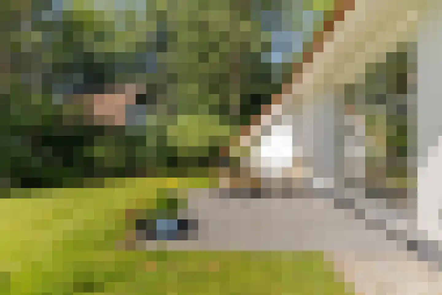 Valtherweg 36 316 Exloo thumbnail 36