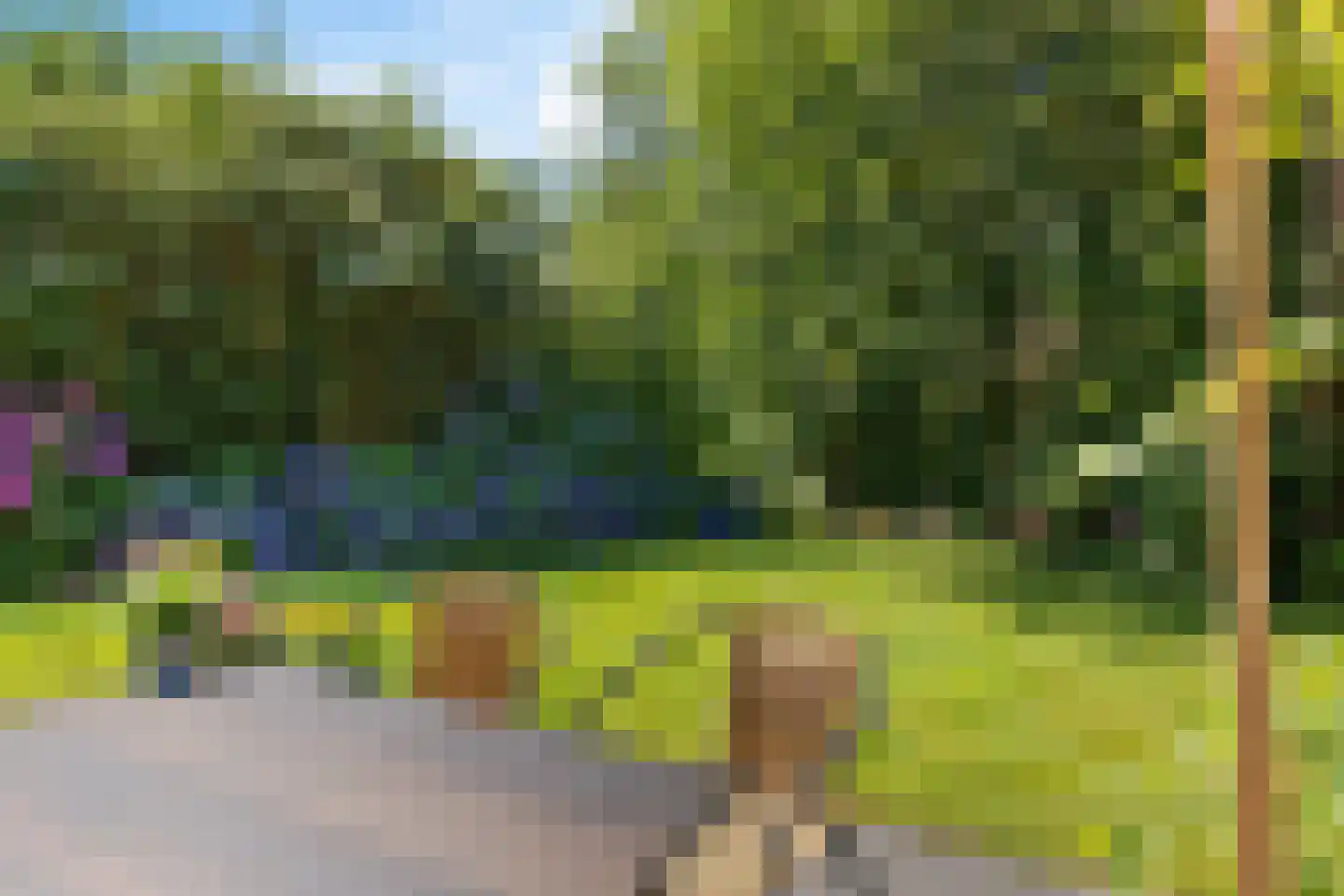 Valtherweg 36 316 Exloo thumbnail 37
