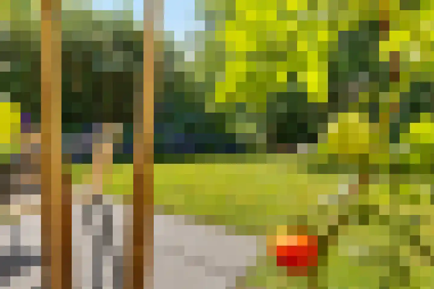 Valtherweg 36 316 Exloo thumbnail 38