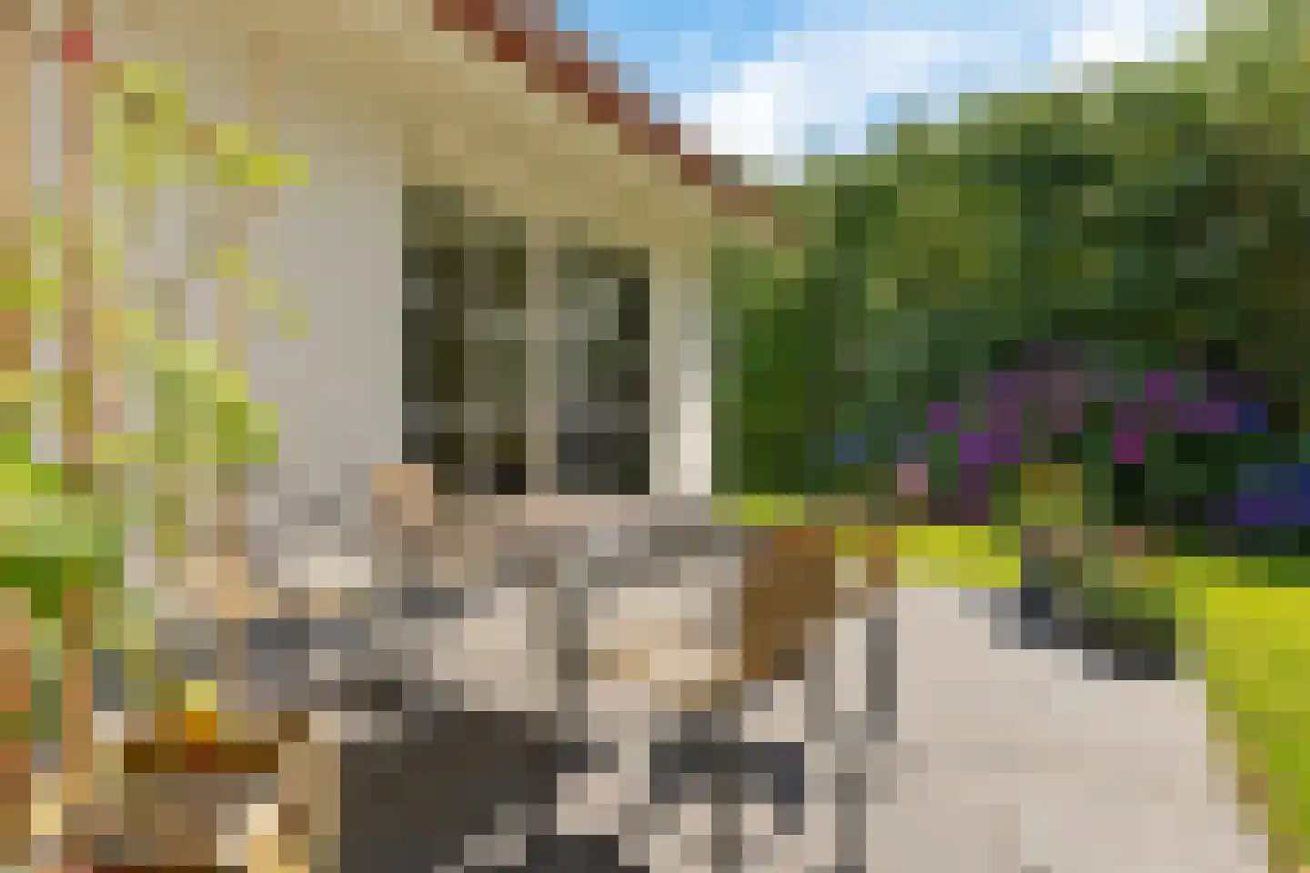Valtherweg 36 316 Exloo thumbnail 39