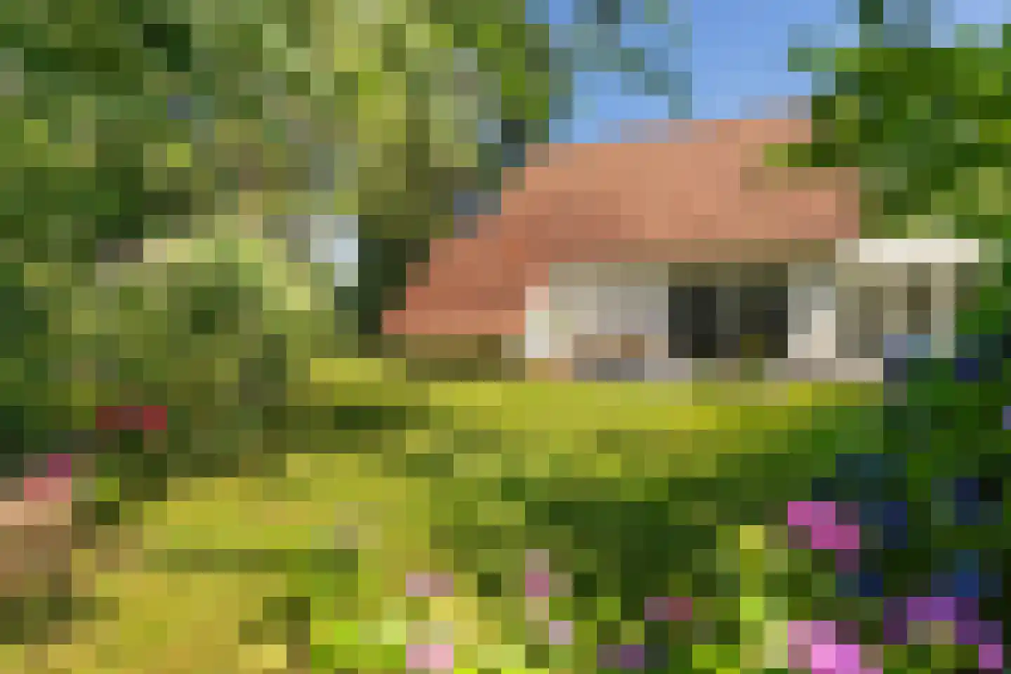 Valtherweg 36 316 Exloo thumbnail 41