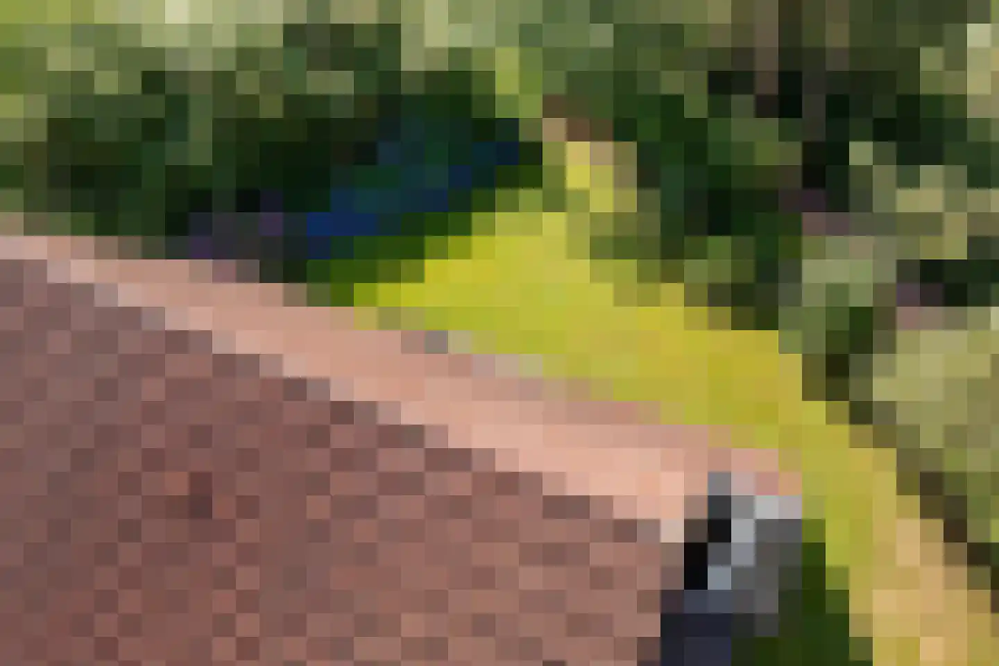 Valtherweg 36 316 Exloo thumbnail 43