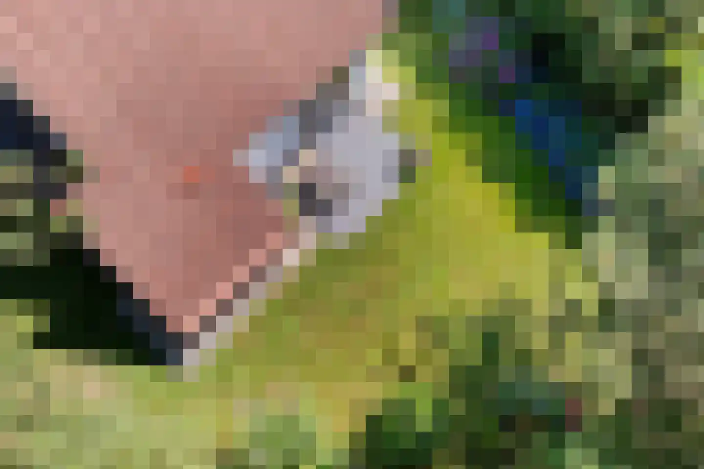 Valtherweg 36 316 Exloo thumbnail 44