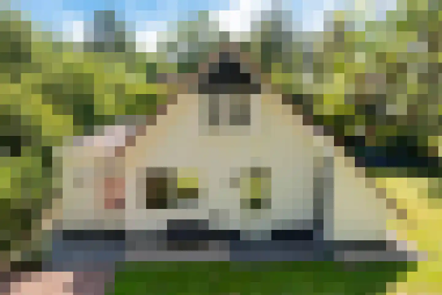 Valtherweg 36 316 Exloo thumbnail 47
