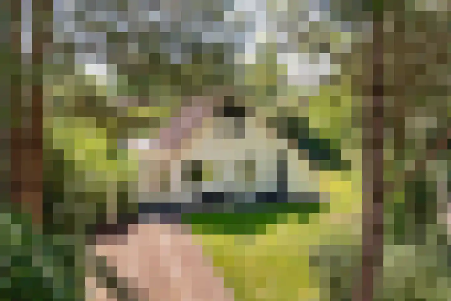 Valtherweg 36 316 Exloo thumbnail 48