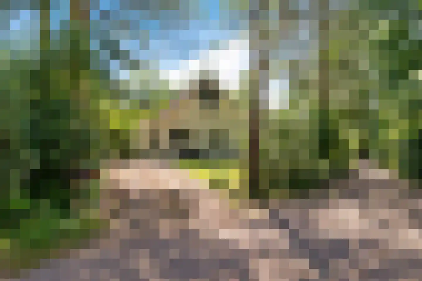 Valtherweg 36 316 Exloo thumbnail 49