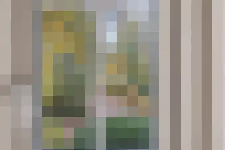 Valtherweg 36 322 Exloo thumbnail 22