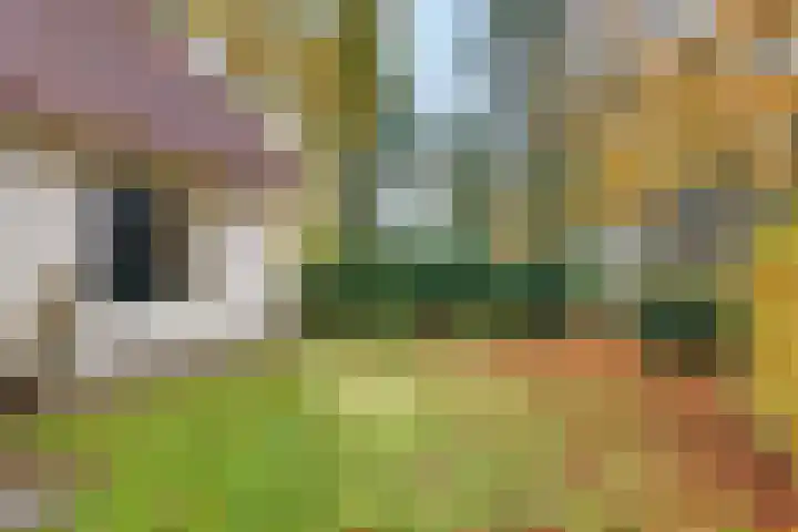 Valtherweg 36 322 Exloo thumbnail 24
