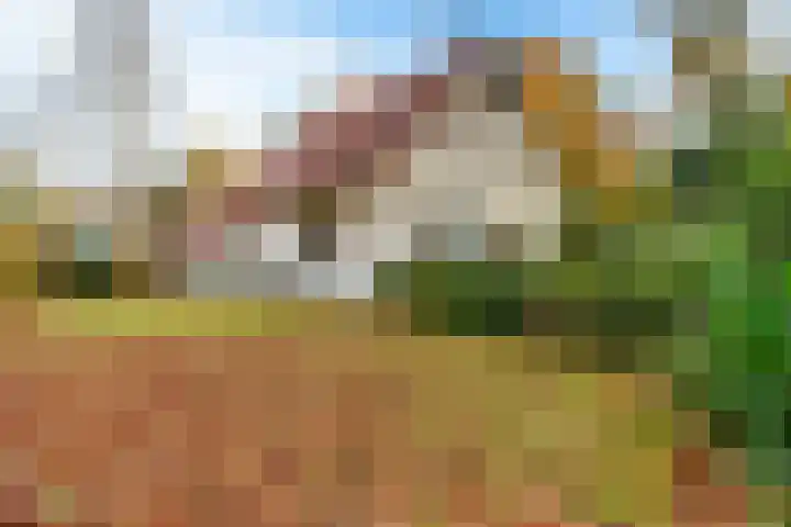 Valtherweg 36 322 Exloo thumbnail 25