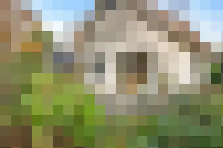 Valtherweg 36 322 Exloo thumbnail 27