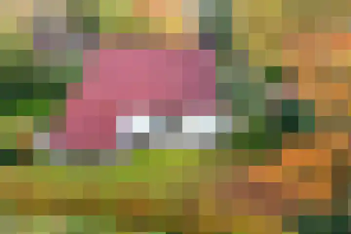 Valtherweg 36 322 Exloo thumbnail 29