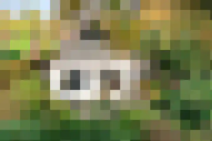 Valtherweg 36 322 Exloo thumbnail 30