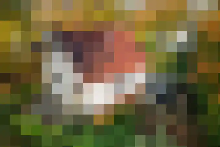 Valtherweg 36 322 Exloo thumbnail 31