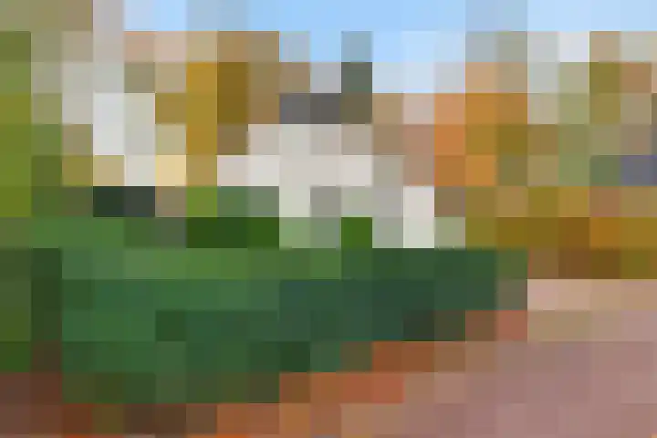 Valtherweg 36 322 Exloo thumbnail 33