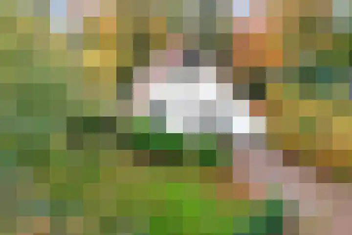 Valtherweg 36 322 Exloo thumbnail 34