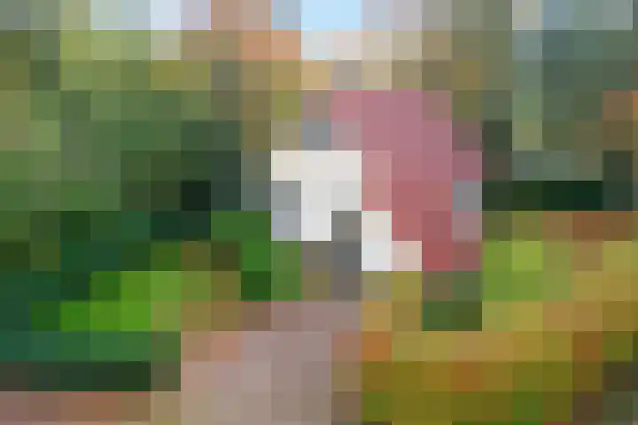 Valtherweg 36 322 Exloo thumbnail 35
